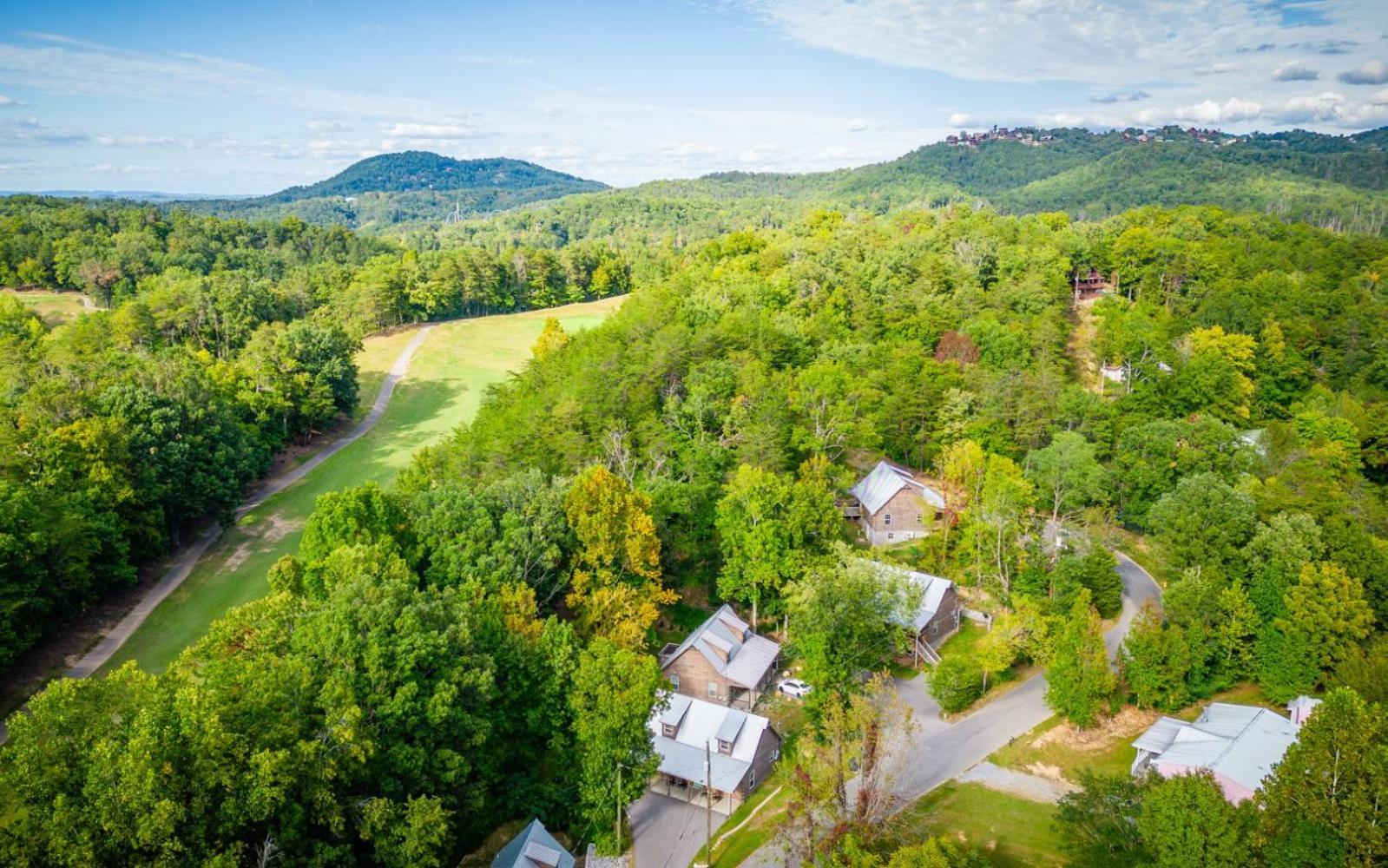 Paws In The Air Сasa de vacaciones Pigeon Forge