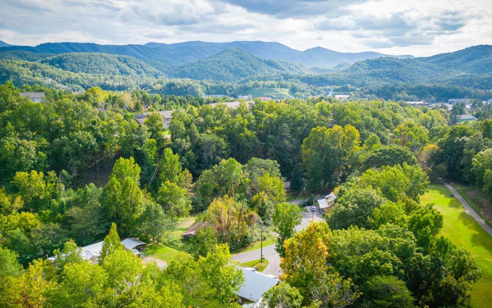Сasa de vacaciones Paws In The Air Pigeon Forge